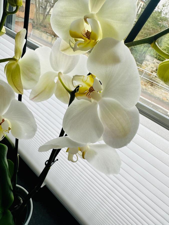 Ferienwohnung Obernkirchen 外观 照片